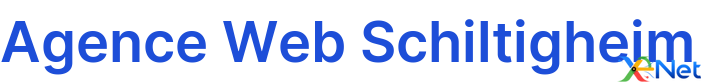 Agence Web Schiltigheim